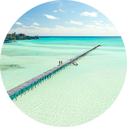 Abacos