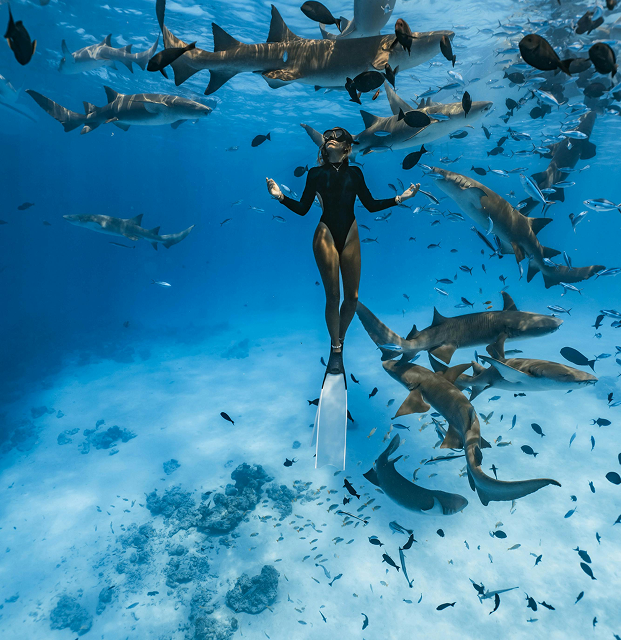 A Marine Environment Shaped by the Gulf Stream
