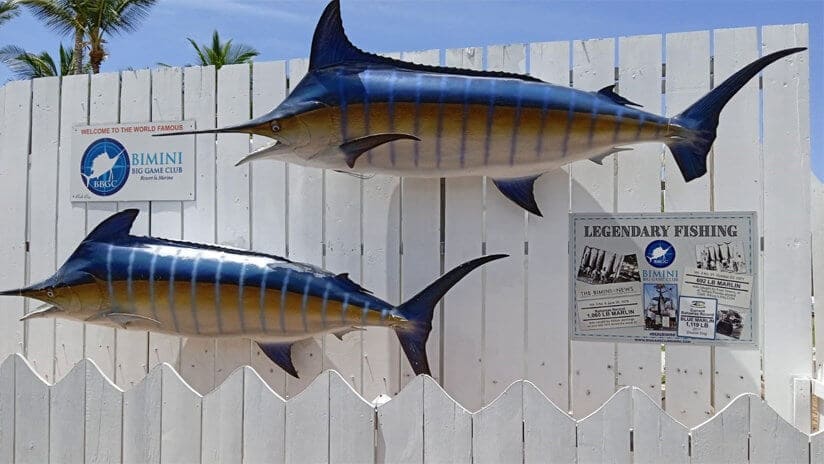 Bimini Big Game Club Resort & Marina