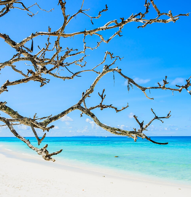 Bimini Islands