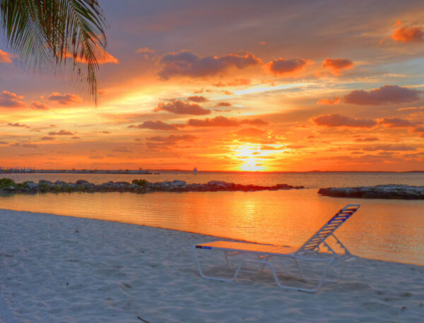 Explore The Grand Bahama Island, Bahamas