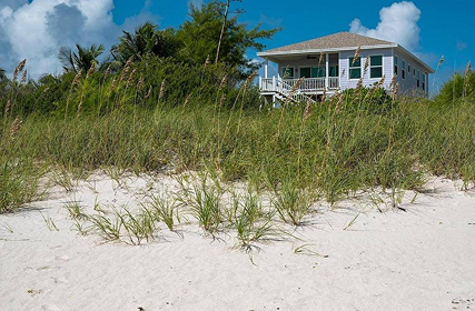 Lavender Beach House Home