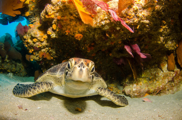 San Salvador Island, Bahamas